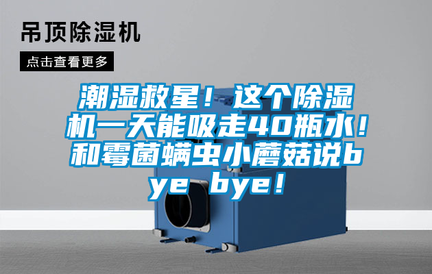 潮濕救星！這個(gè)除濕機(jī)一天能吸走40瓶水！和霉菌螨蟲小蘑菇說bye bye！
