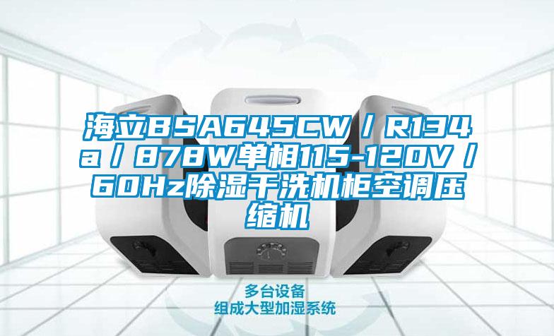 海立BSA645CW/R134a/878W單相115-120V/60Hz除濕干洗機柜空調壓縮機