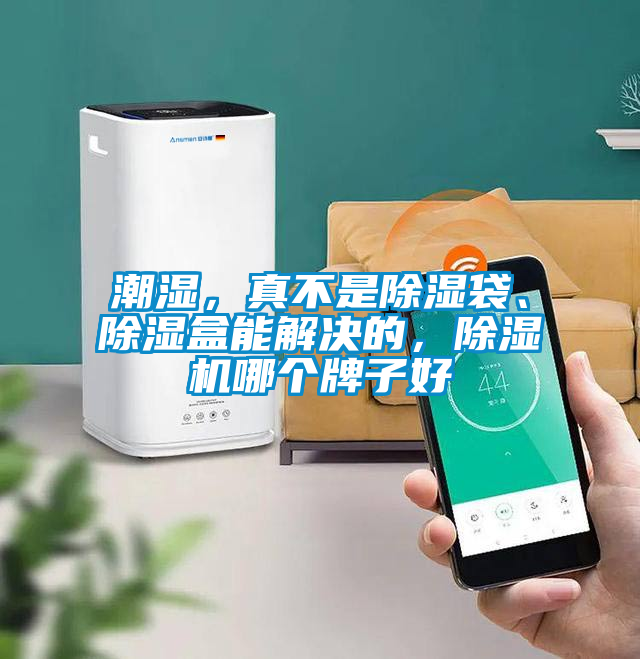 潮濕,真不是除濕袋、除濕盒能解決的,除濕機(jī)哪個(gè)牌子好