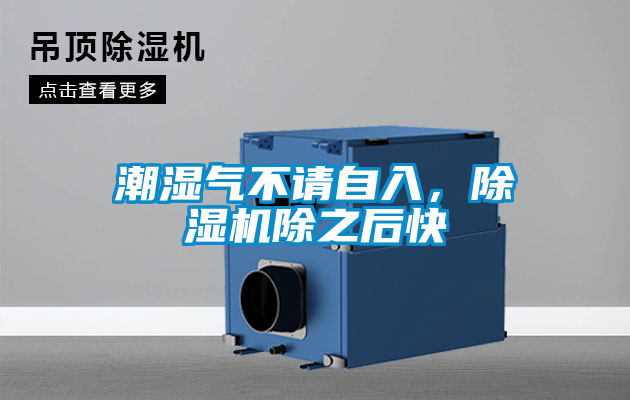 潮濕氣不請自入，除濕機除之后快