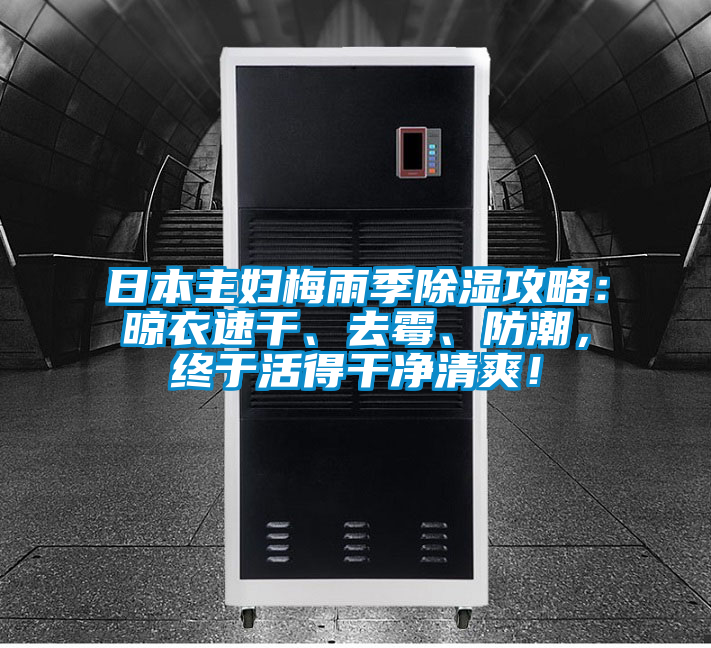 日本主婦梅雨季除濕攻略:晾衣速干、去霉、防潮,終于活得干凈清爽!