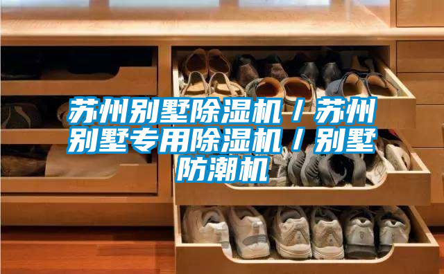 蘇州別墅除濕機(jī)/蘇州別墅專用除濕機(jī)/別墅防潮機(jī)