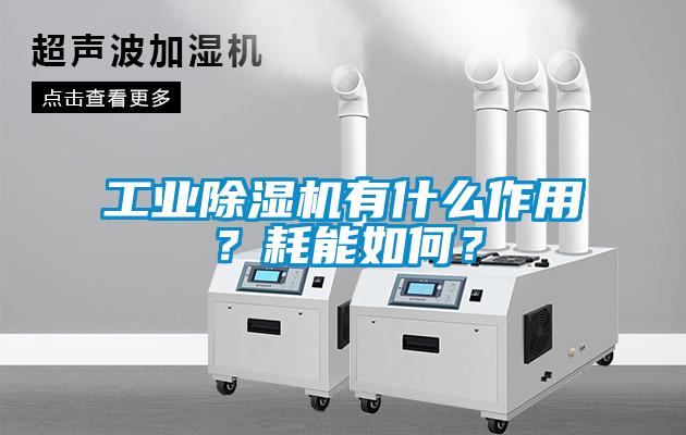 工業除濕機有什么作用?耗能如何?