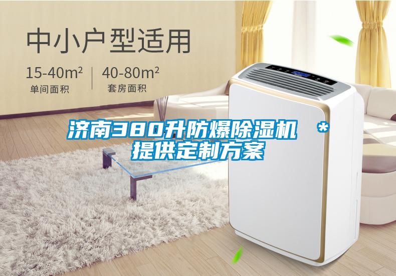 濟(jì)南380升防爆除濕機(jī) *提供定制方案