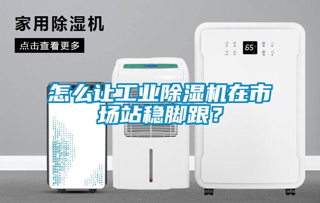 怎么讓工業除濕機在市場站穩腳跟？