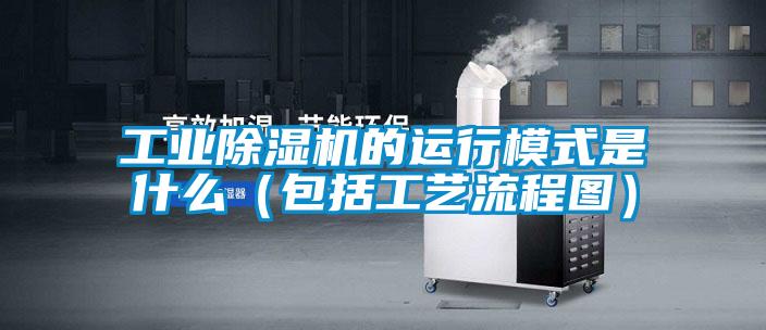 工業除濕機的運行模式是什么(包括工藝流程圖)