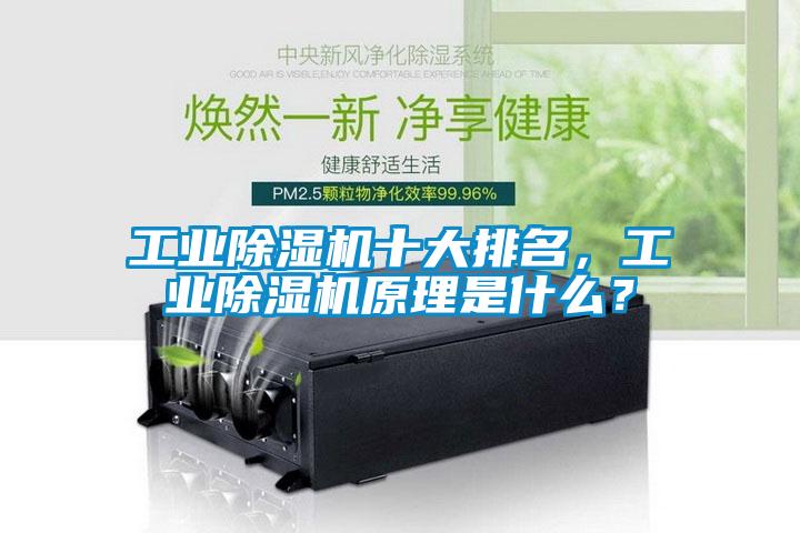 工業除濕機十大排名，工業除濕機原理是什么？