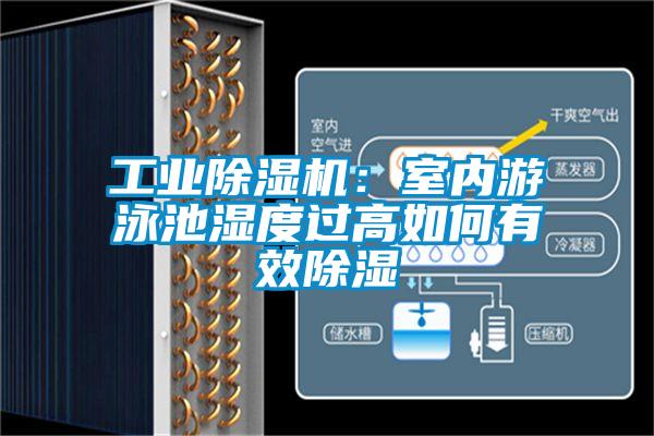 工業(yè)除濕機:室內(nèi)游泳池濕度過高如何有效除濕