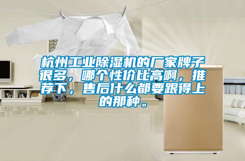 杭州工業(yè)除濕機(jī)的廠家牌子很多,哪個(gè)性價(jià)比高啊,推薦下,售后什么都要跟得上的那種。