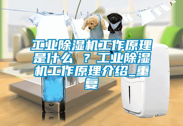 工業(yè)除濕機工作原理是什么 ?工業(yè)除濕機工作原理介紹_重復(fù)