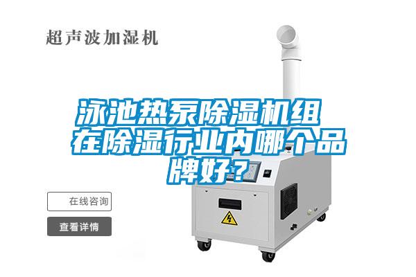 泳池?zé)岜贸凉駲C(jī)組 在除濕行業(yè)內(nèi)哪個品牌好?