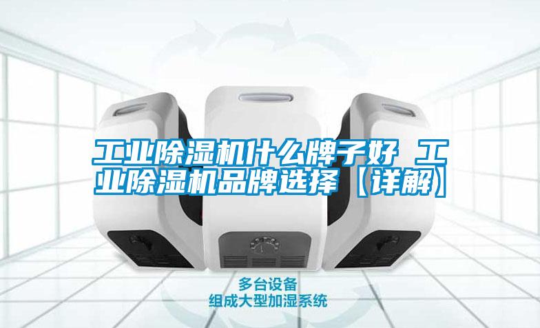 工業(yè)除濕機(jī)什么牌子好 工業(yè)除濕機(jī)品牌選擇【詳解】