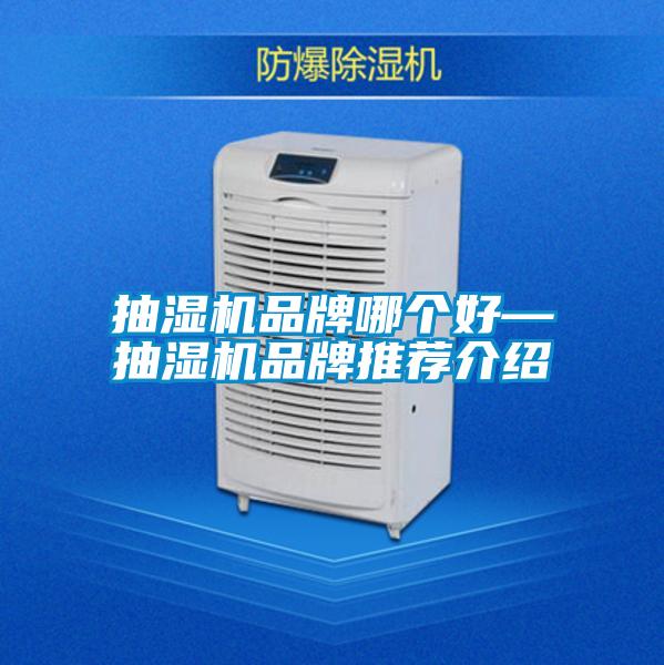抽濕機(jī)品牌哪個好—抽濕機(jī)品牌推薦介紹