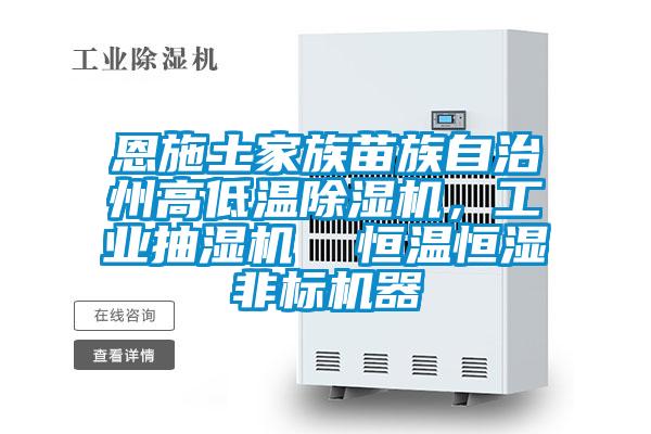 恩施土家族苗族自治州高低溫除濕機，工業抽濕機  恒溫恒濕非標機器
