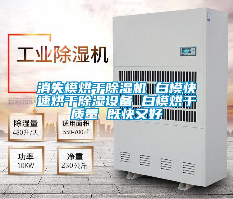 消失模烘干除濕機 白模快速烘干除濕設備 白模烘干質(zhì)量 既快又好