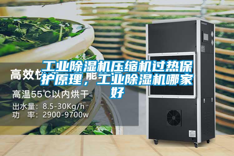 工業除濕機壓縮機過熱保護原理，工業除濕機哪家好