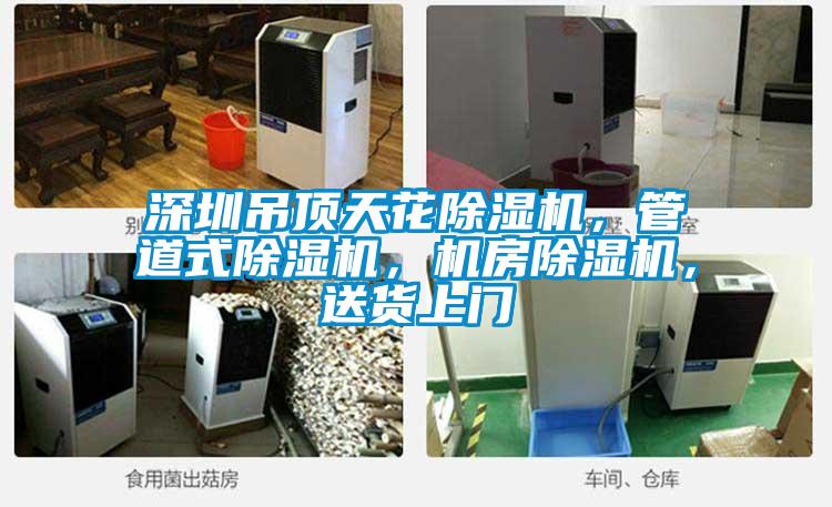 深圳吊頂天花除濕機，管道式除濕機，機房除濕機，送貨上門