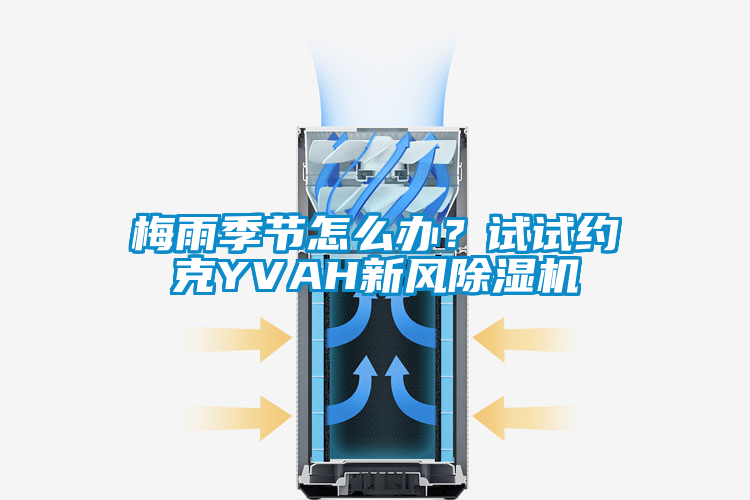 梅雨季節(jié)怎么辦?試試約克YVAH新風(fēng)除濕機