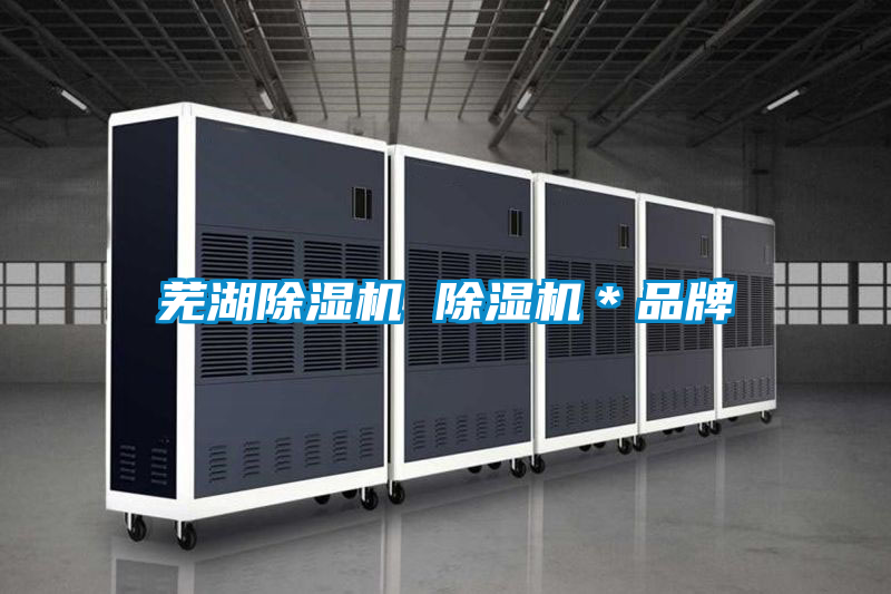 蕪湖除濕機 除濕機*品牌