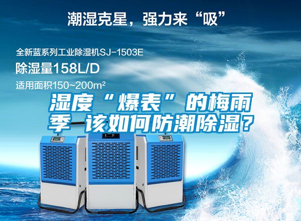 濕度“爆表”的梅雨季 該如何防潮除濕?