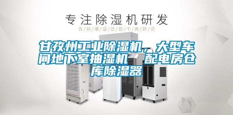 甘孜州工業(yè)除濕機，大型車間地下室抽濕機  配電房倉庫除濕器