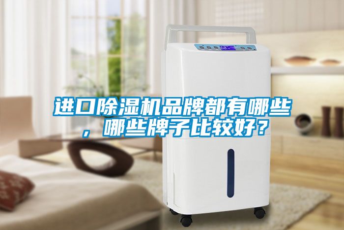 進(jìn)口除濕機(jī)品牌都有哪些，哪些牌子比較好？
