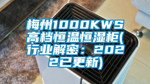 梅州1000KWS高檔恒溫恒濕柜(行業解密:2022已更新)