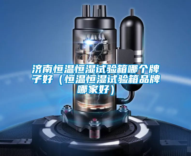 濟南恒溫恒濕試驗箱哪個牌子好(恒溫恒濕試驗箱品牌哪家好)
