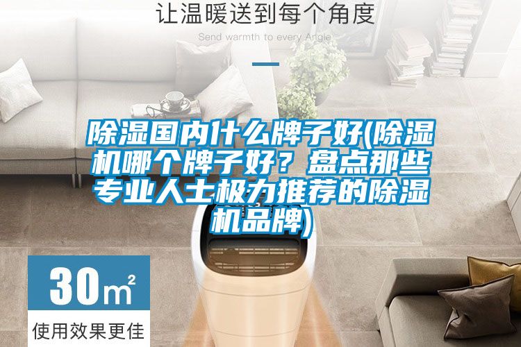 除濕國(guó)內(nèi)什么牌子好(除濕機(jī)哪個(gè)牌子好？盤點(diǎn)那些專業(yè)人士極力推薦的除濕機(jī)品牌)