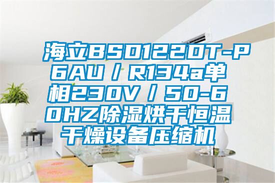 海立BSD122DT-P6AU/R134a單相230V/50-60HZ除濕烘干恒溫干燥設(shè)備壓縮機(jī)