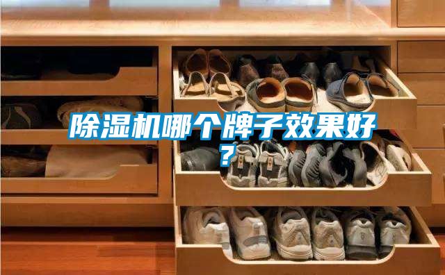 除濕機哪個牌子效果好？