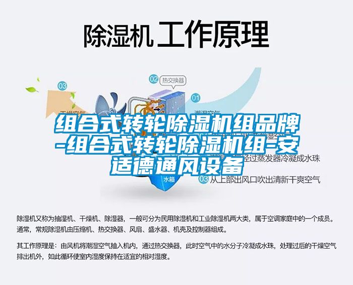 組合式轉(zhuǎn)輪除濕機(jī)組品牌-組合式轉(zhuǎn)輪除濕機(jī)組-安適德通風(fēng)設(shè)備