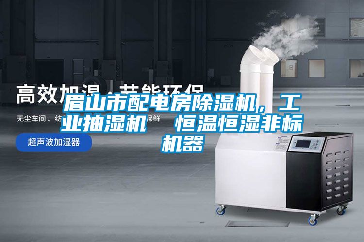 眉山市配電房除濕機,工業抽濕機 恒溫恒濕非標機器