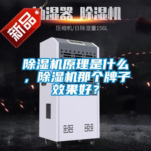除濕機原理是什么,除濕機那個牌子效果好?