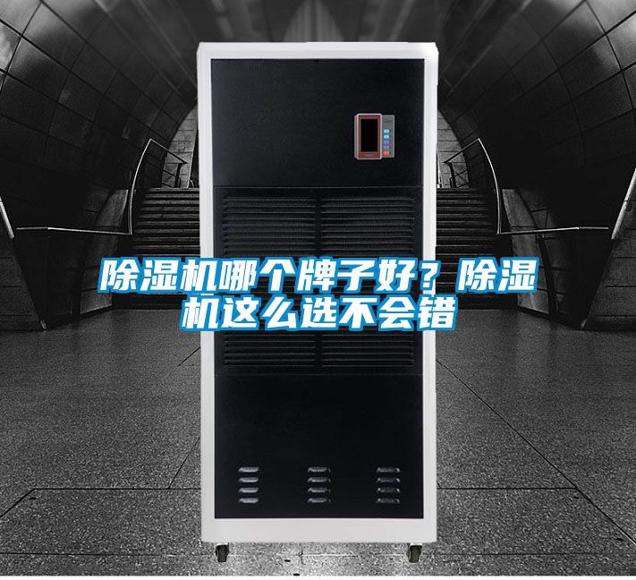 除濕機(jī)哪個(gè)牌子好?除濕機(jī)這么選不會錯(cuò)