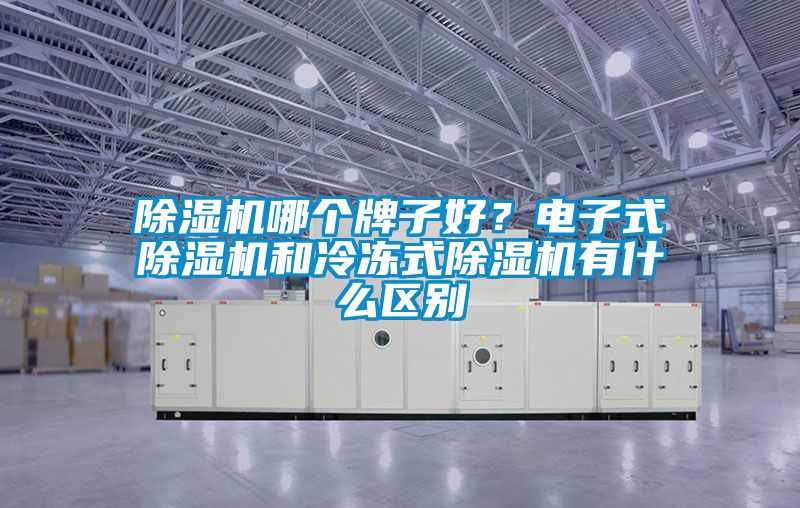 除濕機哪個牌子好?電子式除濕機和冷凍式除濕機有什么區別