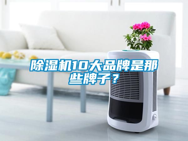 除濕機10大品牌是那些牌子？