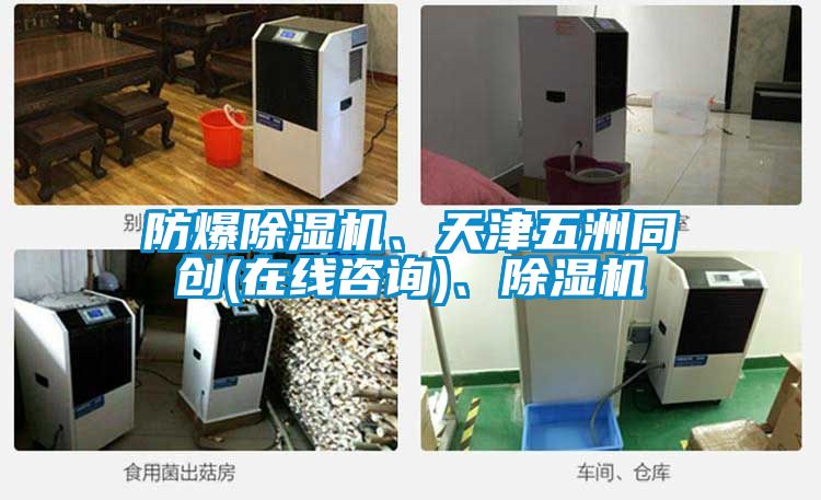 防爆除濕機、天津五洲同創(在線咨詢)、除濕機