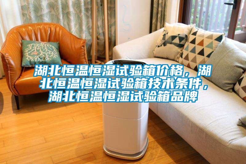 湖北恒溫恒濕試驗箱價格,湖北恒溫恒濕試驗箱技術(shù)條件,湖北恒溫恒濕試驗箱品牌