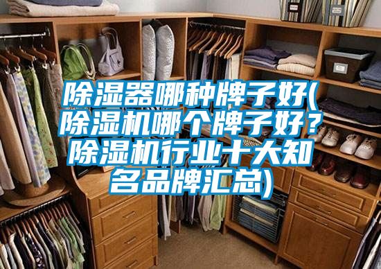 除濕器哪種牌子好(除濕機(jī)哪個(gè)牌子好?除濕機(jī)行業(yè)十大知名品牌匯總)