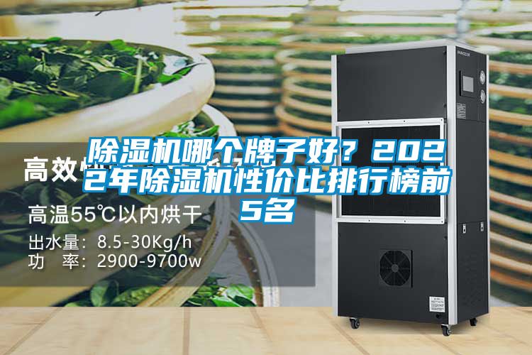 除濕機哪個牌子好？2022年除濕機性價比排行榜前5名