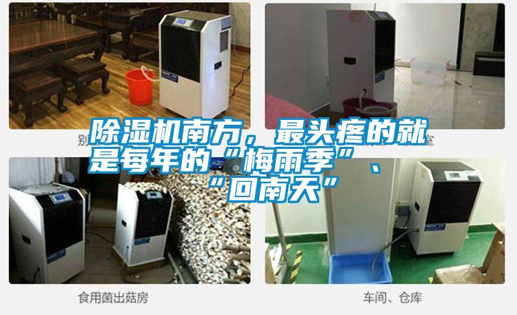 除濕機南方，最頭疼的就是每年的“梅雨季”、“回南天”