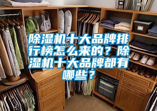除濕機十大品牌排行榜怎么來的？除濕機十大品牌都有哪些？