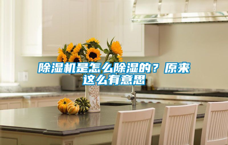 除濕機(jī)是怎么除濕的?原來這么有意思
