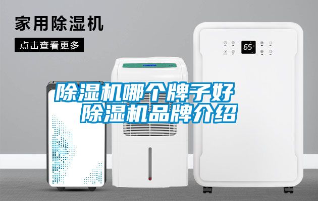 除濕機哪個牌子好 除濕機品牌介紹