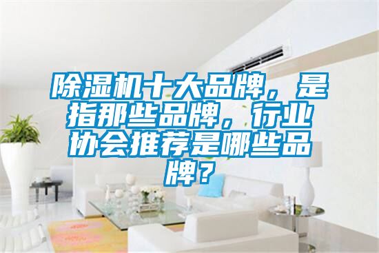 除濕機十大品牌，是指那些品牌，行業協會推薦是哪些品牌？