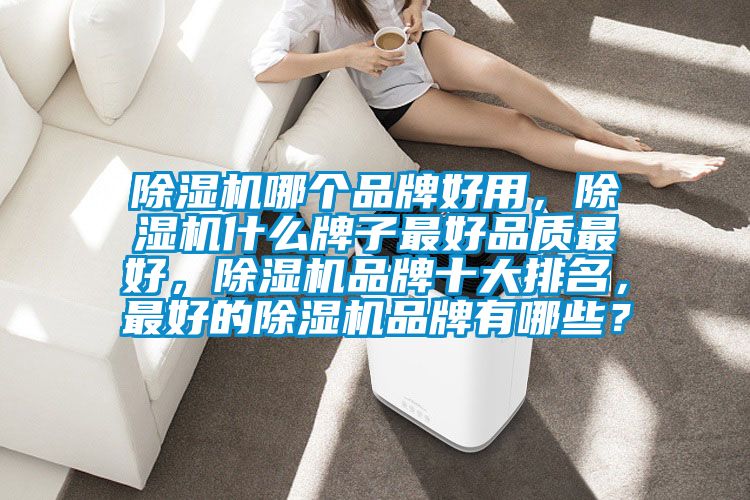 除濕機哪個品牌好用，除濕機什么牌子最好品質(zhì)最好，除濕機品牌十大排名，最好的除濕機品牌有哪些？