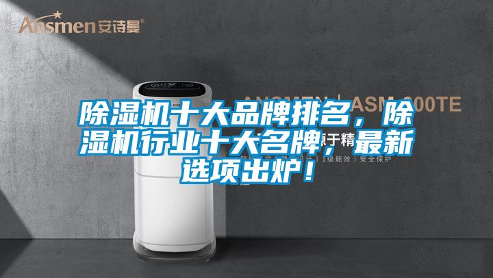 除濕機十大品牌排名，除濕機行業十大名牌，最新選項出爐！