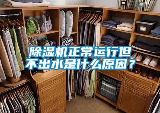 除濕機(jī)正常運(yùn)行但不出水是什么原因?