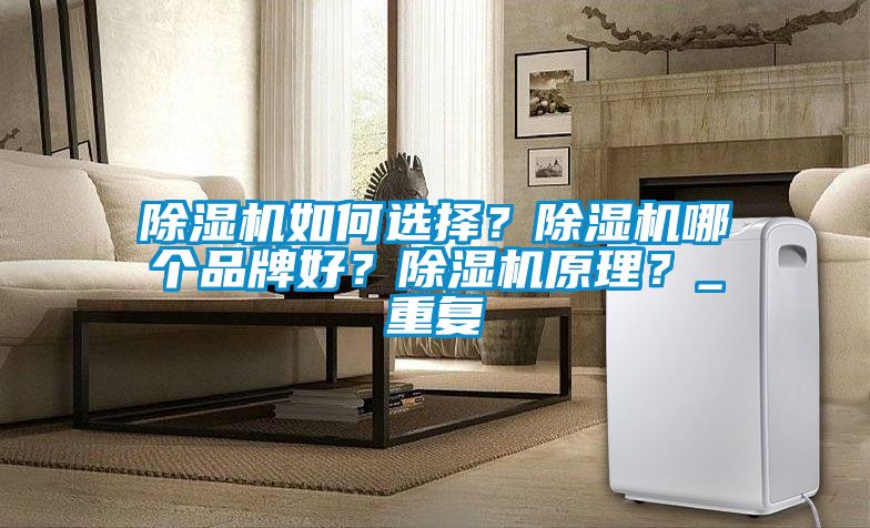 除濕機如何選擇？除濕機哪個品牌好？除濕機原理？_重復